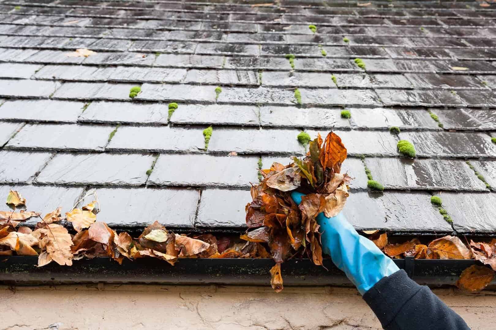 A St. Paul homeowner cleaning their gutters that attached to a composite slate roof.