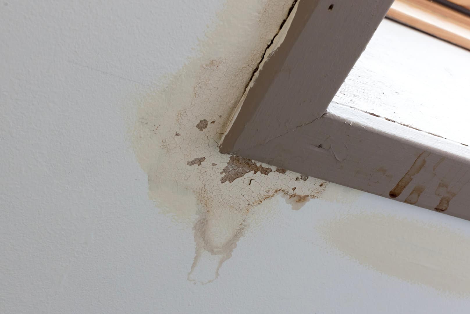 Close up of water damage from roof leak that needs an immediate roof repair